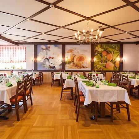 Hotel Marillenhotel - Wachauer Marille & Wein *